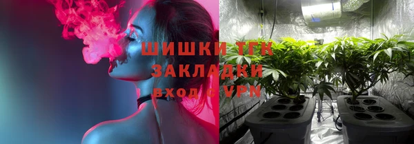 винт Инсар