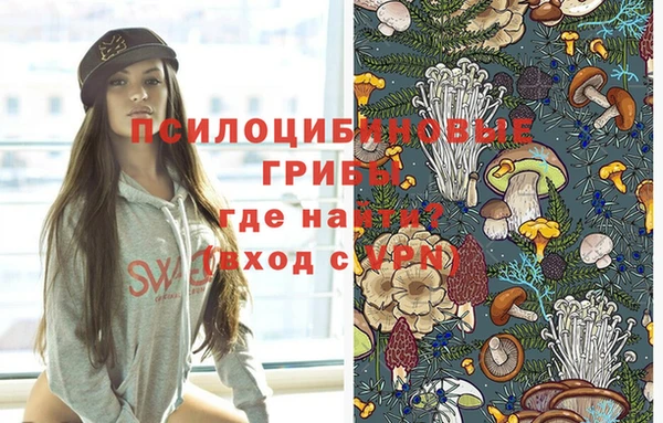mdpv Иннополис
