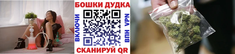 Каннабис гибрид  закладка  Кедровый 